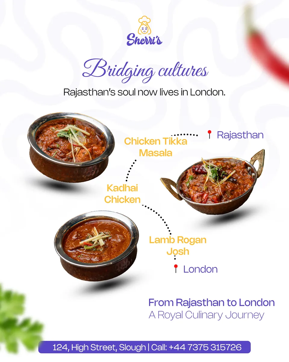 house of travellers rajasthan to london tour package
